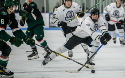 NORSEMEN FALL SHORT IN BOUT WITH WILDERNESS   