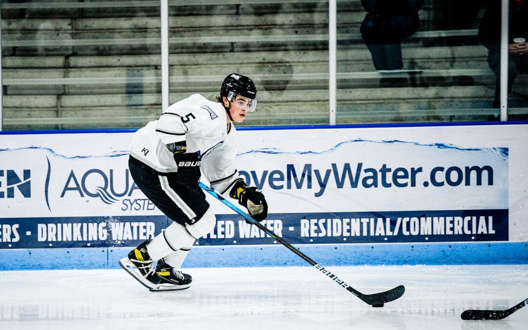 NORSEMEN COMEBACK FALLS SHORT IN LOSS   