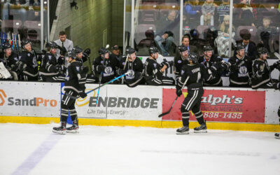 DAHLMEIR EARNS SHUTOUT, NORSEMEN SURGE PAST MINOT