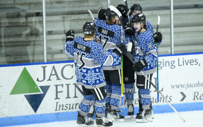NORSEMEN SHUT OUT WINGS 4-0