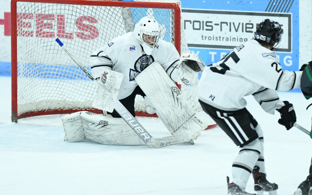 ST. CLOUD GOALIE BOLO EARNS NAHL STAR OF THE WEEK