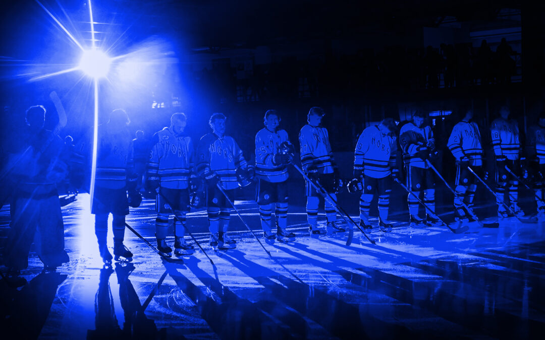 ST. CLOUD ADDS NINE DURING NAHL DRAFT