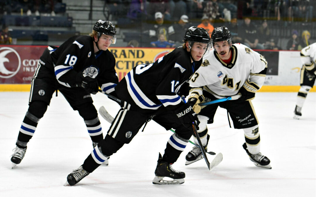 Norsemen fall to Bobcats & Minotauros over the weekend