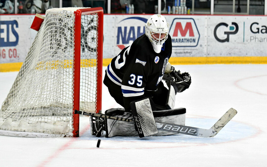 Dahlmeir Bringing Veteran Presence to Norsemen Net