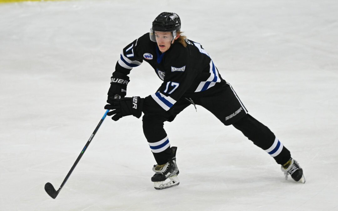 Three-Game Series Sweep of North Iowa has St. Cloud on a Five Game Heater and Clawing Their Way into Playoff Position