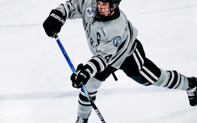 NORSEMEN TAKE DOWN MALLARDS