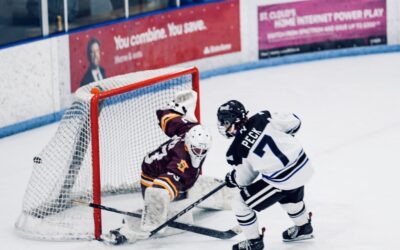 NORSEMEN DOMINATE MALLARDS PLAYOFF HOPES STILL ALIVE