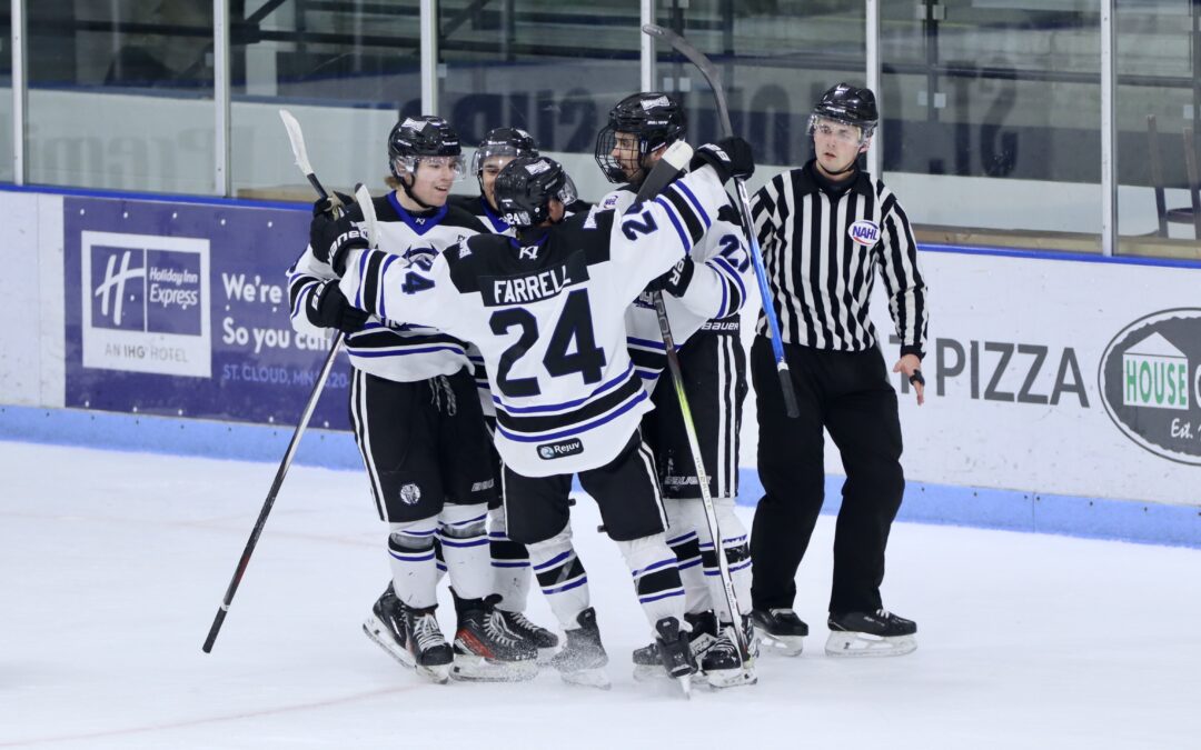 NORSEMEN CLIP WINGS SWEEP WEEKEND