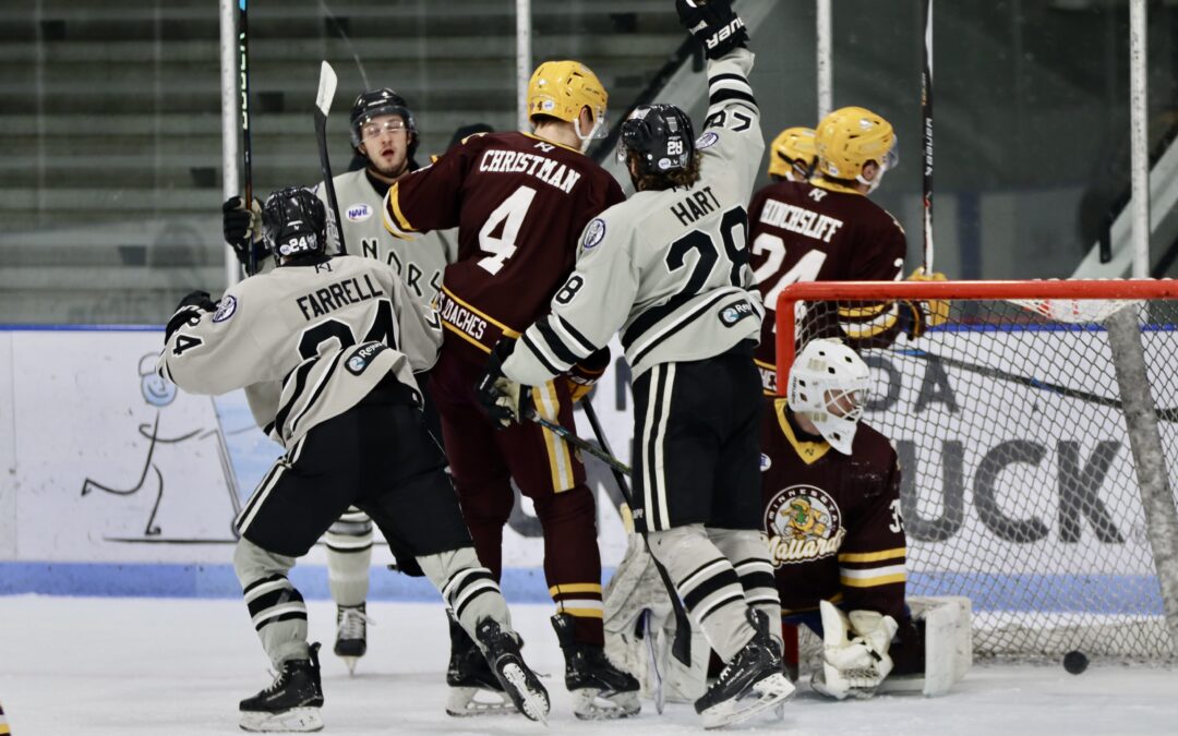 NORSEMEN DROP A PAIR AT HOME