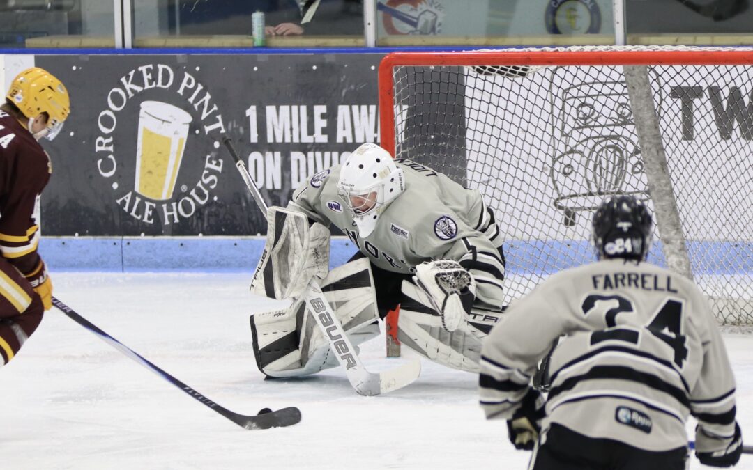 NORSEMEN SHUT OUT MALLARDS EARN WEEKEND SPLIT